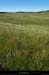 20130630_ptmontvert_tarnssmascamargues2