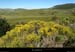 20130630_ptmontvert_vallondemerelaygue