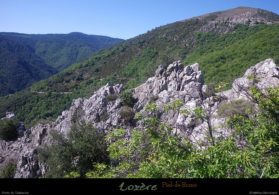 20110731_pieddeborne_pointedechabassut1