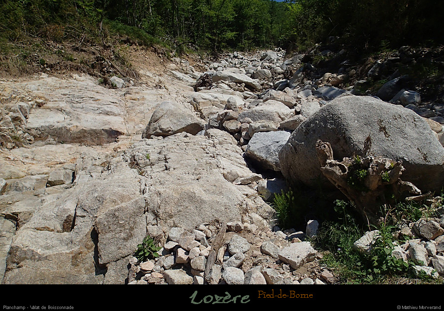 20150604_pieddeborne_planchamp_valatdumazel03