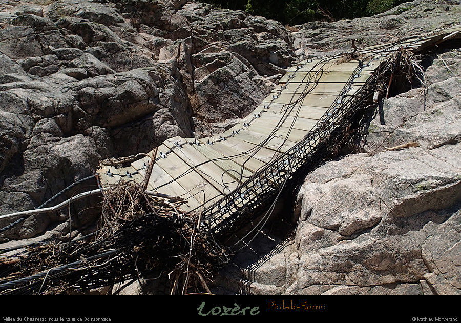 20150604_pieddeborne_planchamp_valatdumazel06