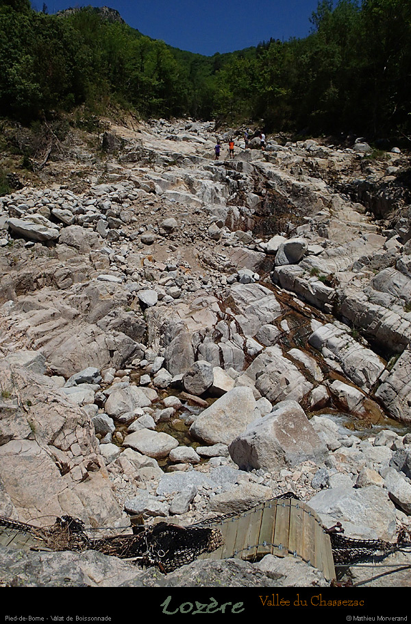 20150604_pieddeborne_planchamp_valatdumazel09