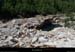 20150604_pieddeborne_planchamp_valatdumazel02