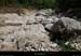 20150604_pieddeborne_planchamp_valatdumazel03