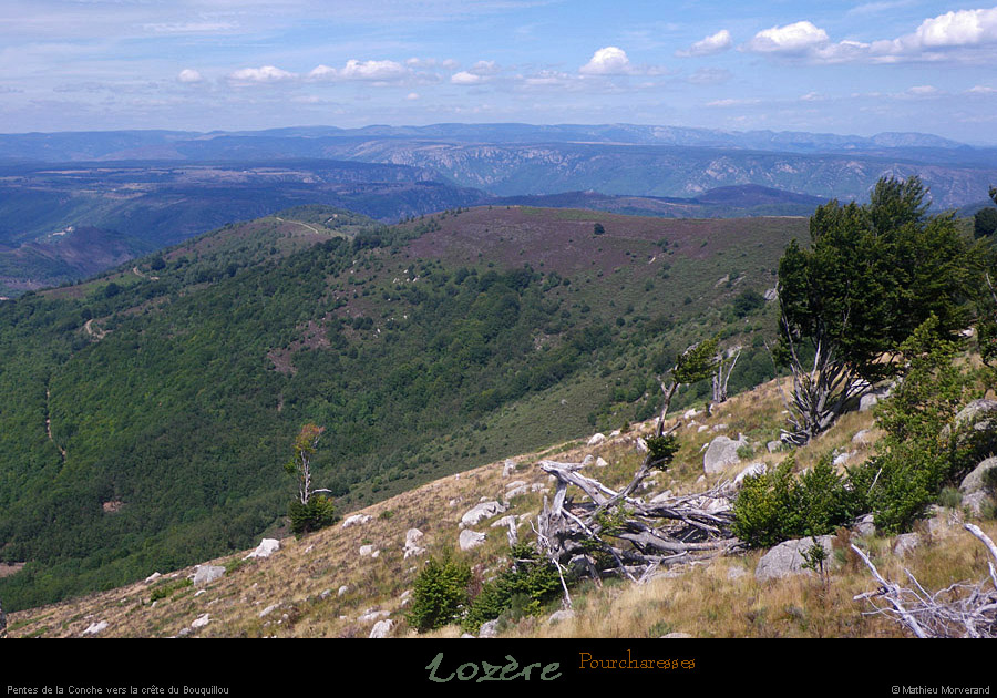 20110804_pourcharesses_pentesdelaconche