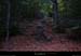 20110804_pourcharesses_boisdesarmes