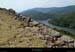 20120812_pourcharesses_pistedemorangies1