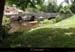 20190815_felletinrobypont3