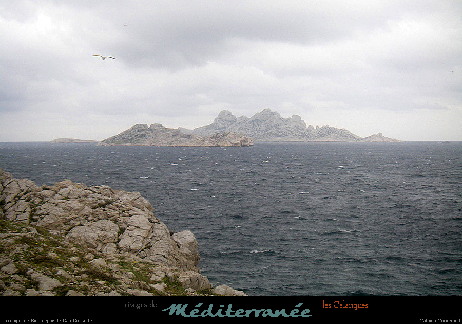 20090304_qm03_31