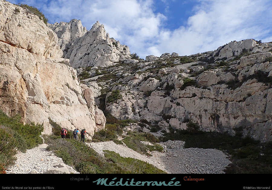 20190310_cal_escu_sentier