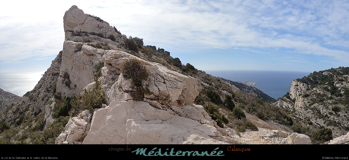 20190310_cal_galinette_col2