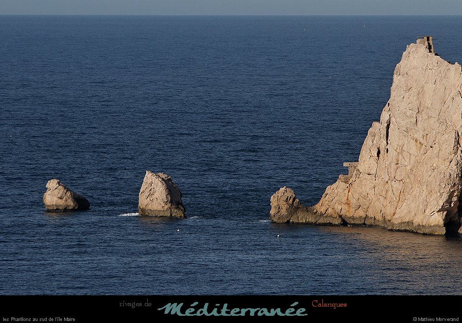 20190310_cal_ilemayre_pharillons1