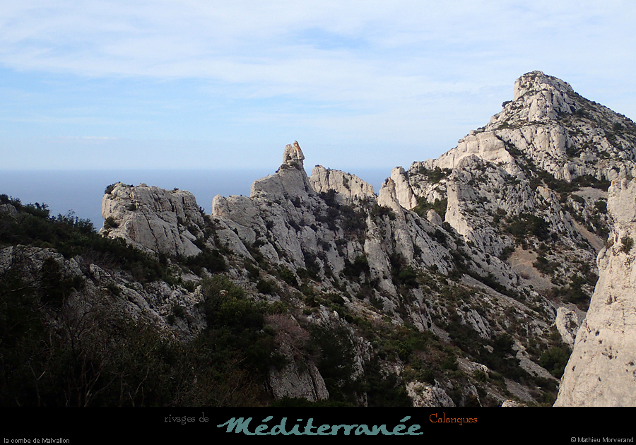 20190310_cal_malvallonsud_vallon1
