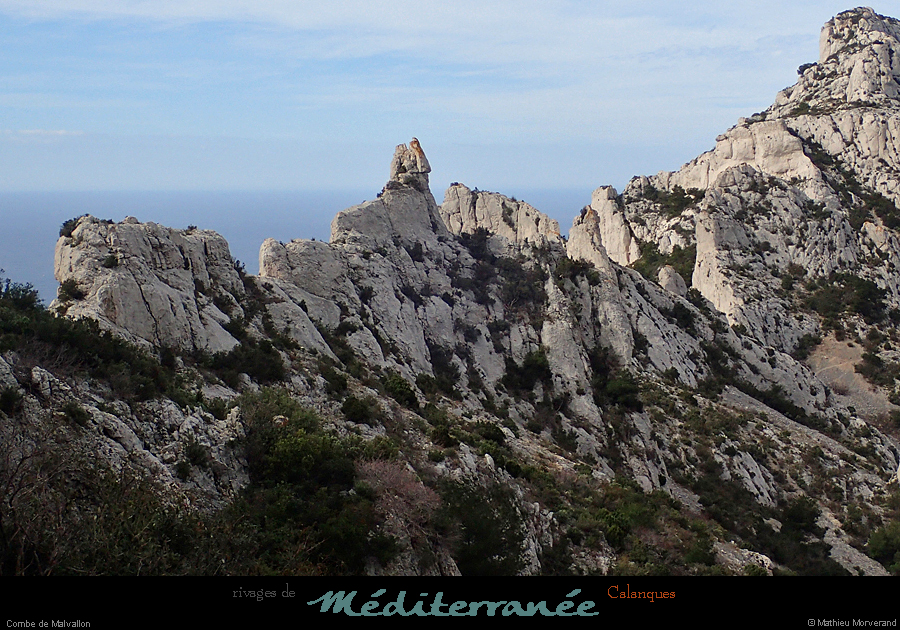 20190310_cal_malvallonsud_vallon2