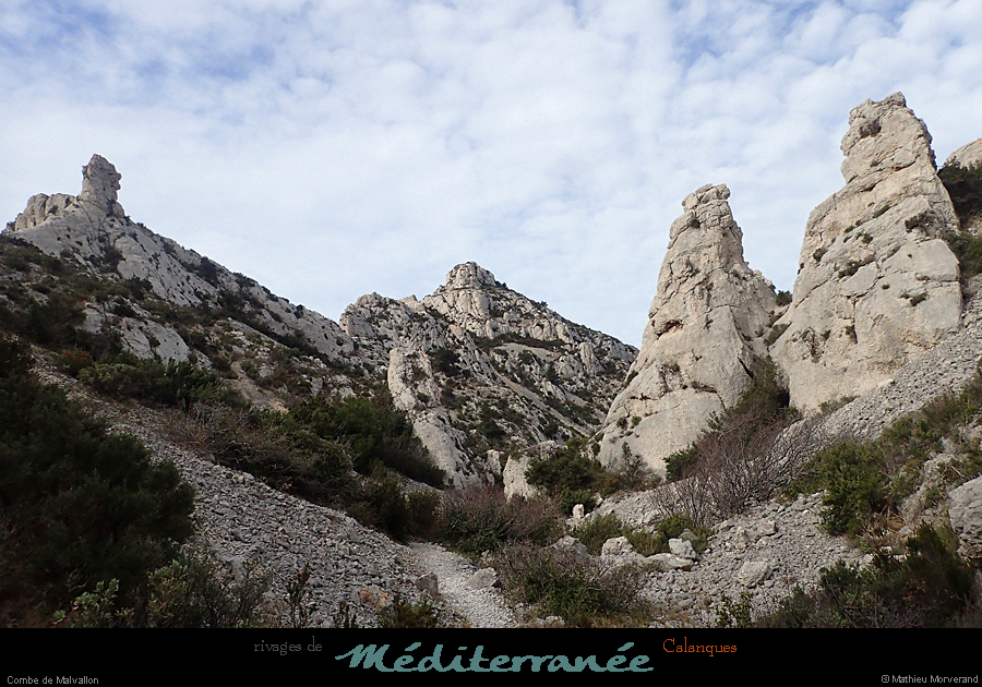 20190310_cal_malvallonsud_vallon3