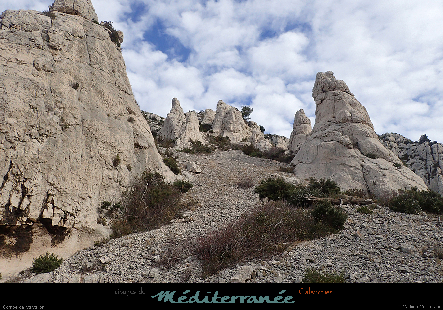 20190310_cal_malvallonsud_vallon4