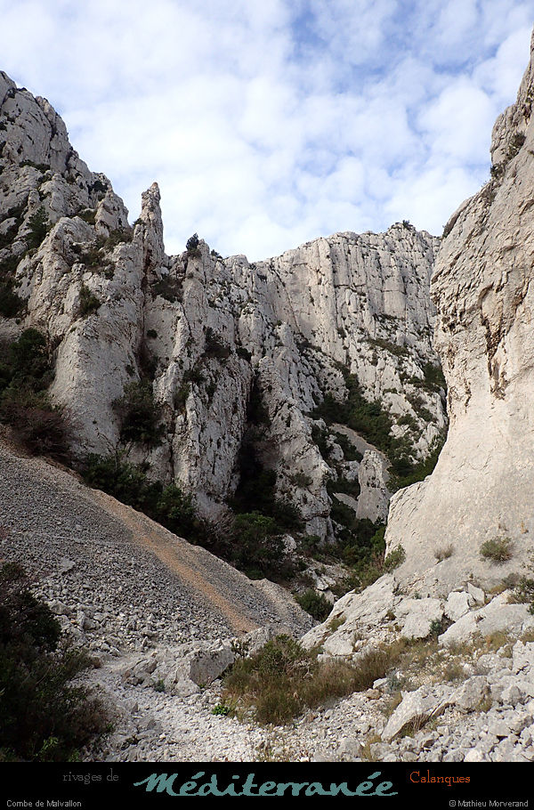 20190310_cal_malvallonsud_vallon6