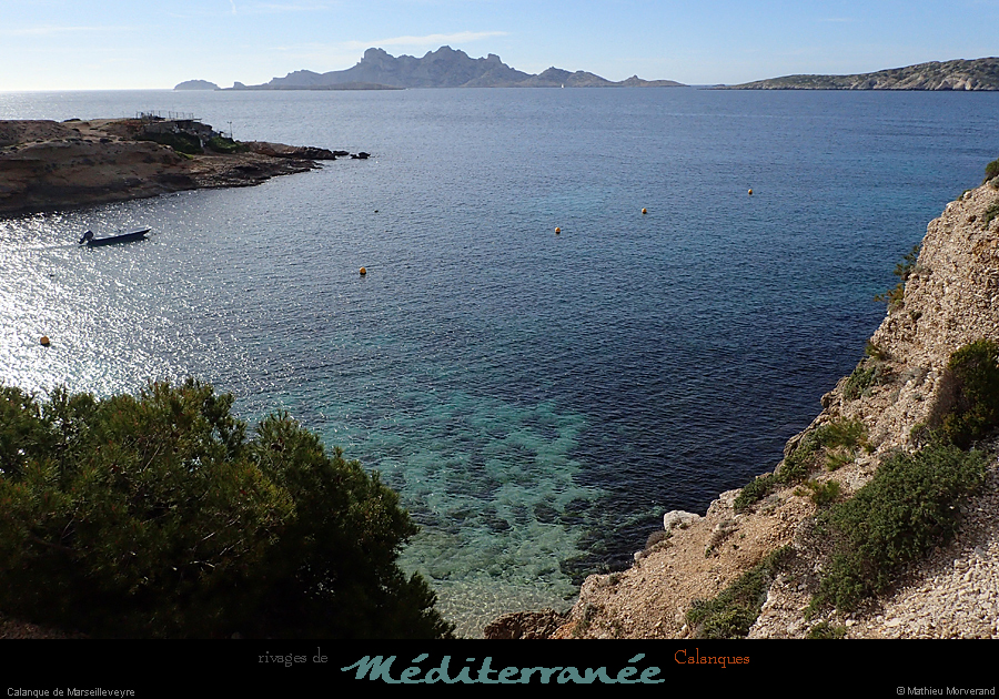 20190310_cal_marseilleveyre_calanque3