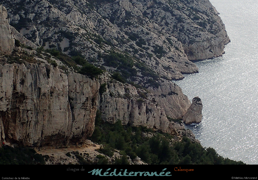 20190310_cal_melette_rivage1