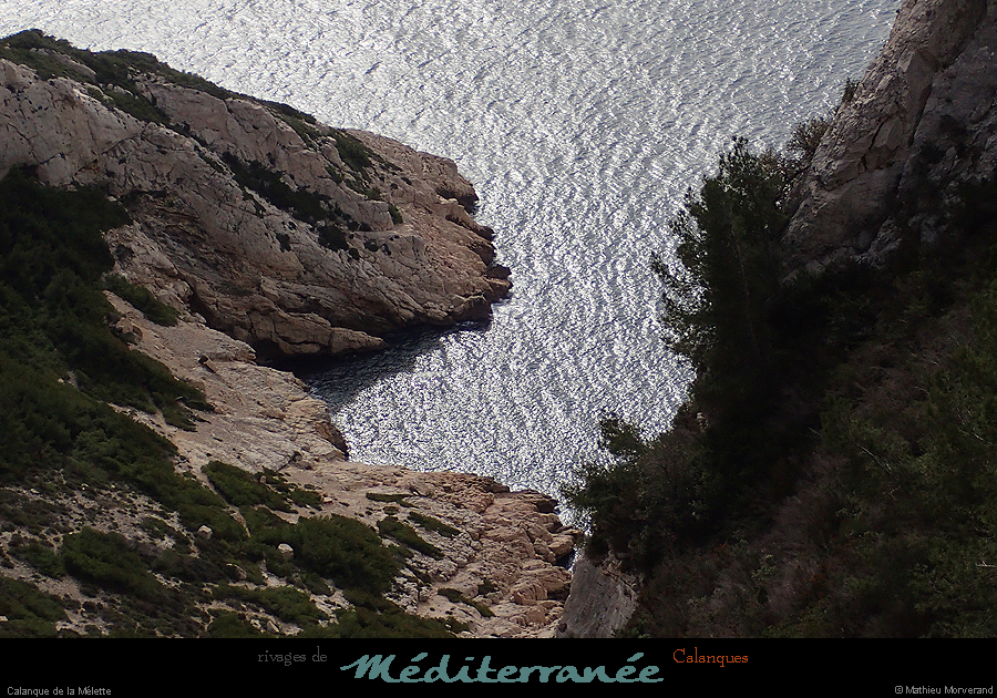 20190310_cal_melette_rivage2