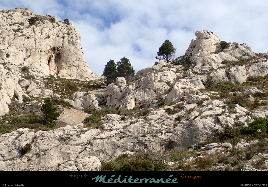 20190310_cal_mounine_galinette_depentesssrochergoudes2