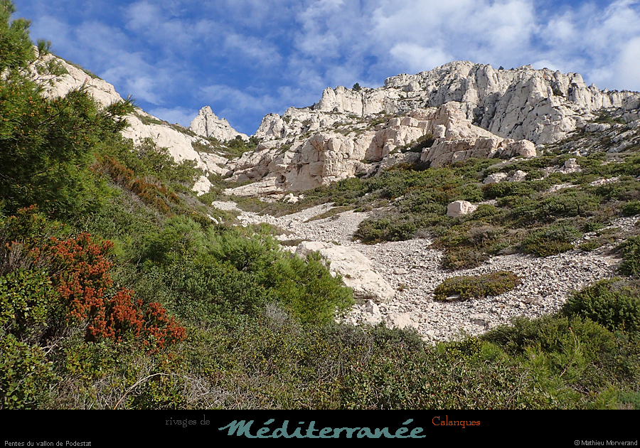 20190310_cal_podestat_malvallon_pentessud