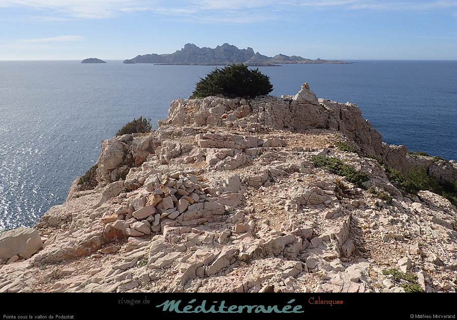 20190310_cal_podestat_pte1