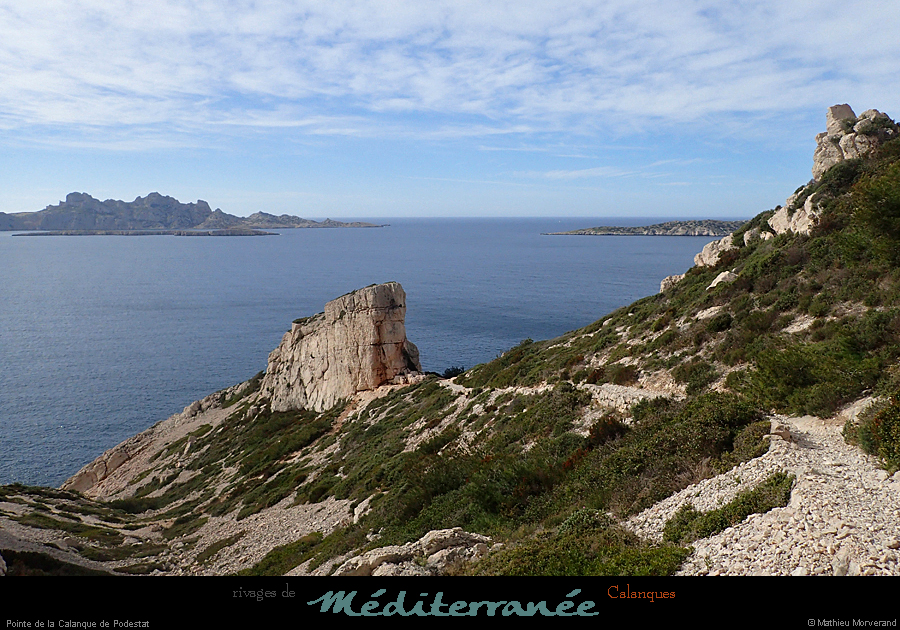 20190310_cal_podestat_pte4
