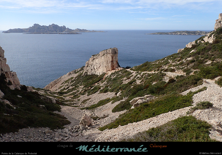 20190310_cal_podestat_pte5