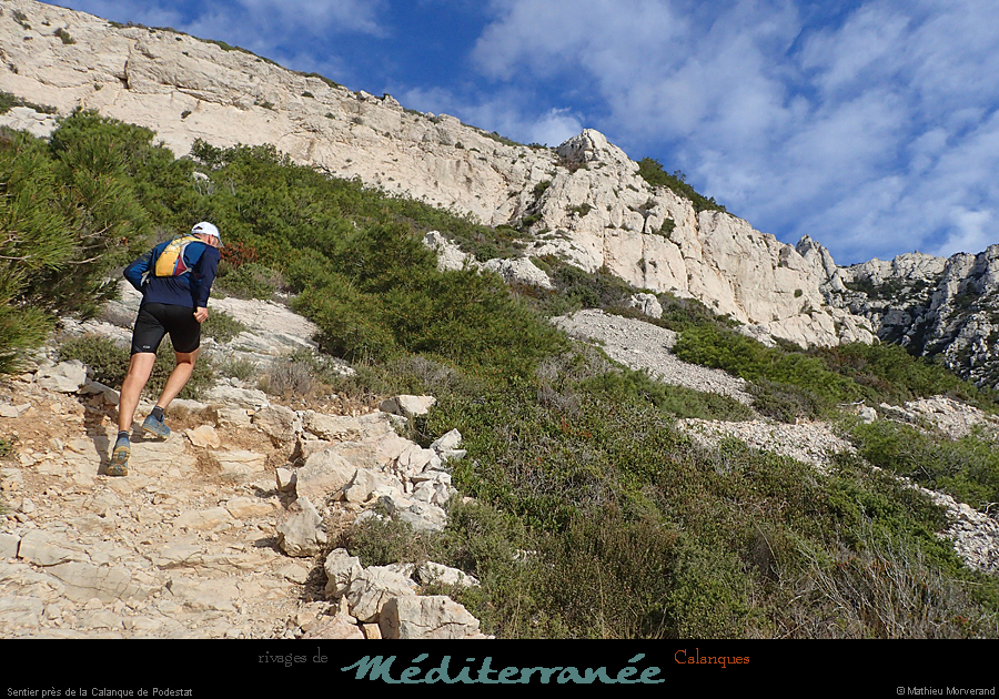 20190310_cal_podestat_sentier2