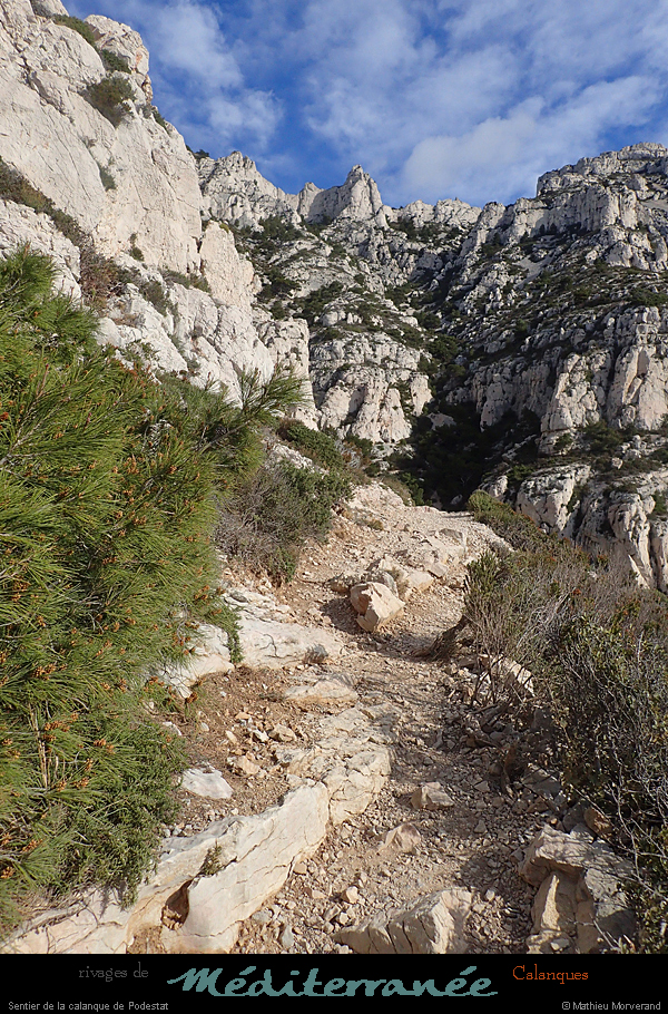 20190310_cal_podestat_sentier3