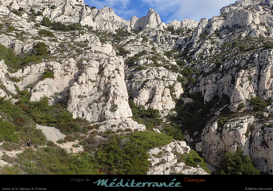 20190310_cal_podestat_sentier5