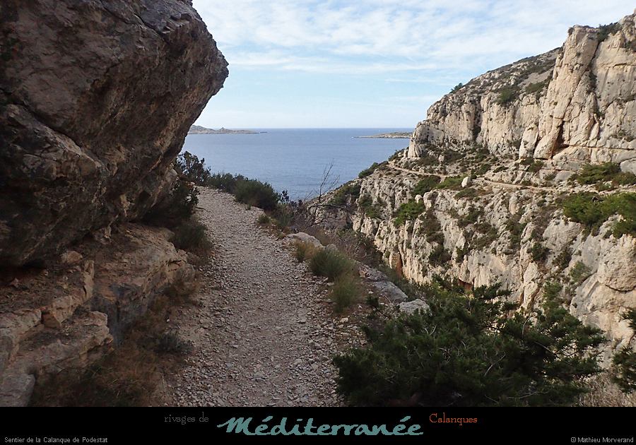 20190310_cal_podestat_sentier6
