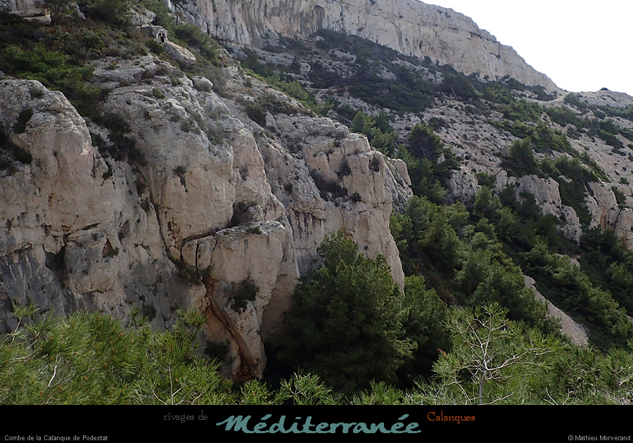 20190310_cal_podestatcalanque1