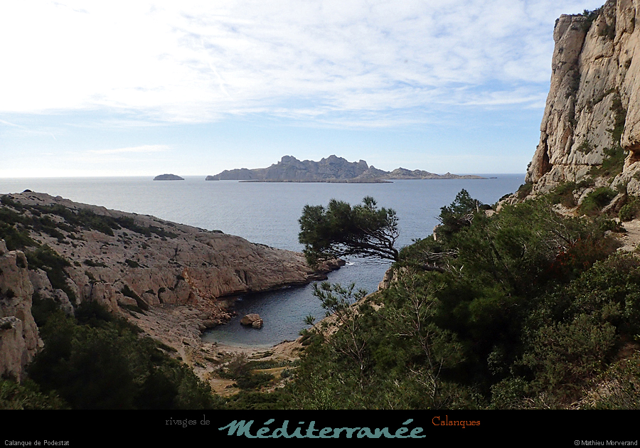 20190310_cal_podestatcalanque2