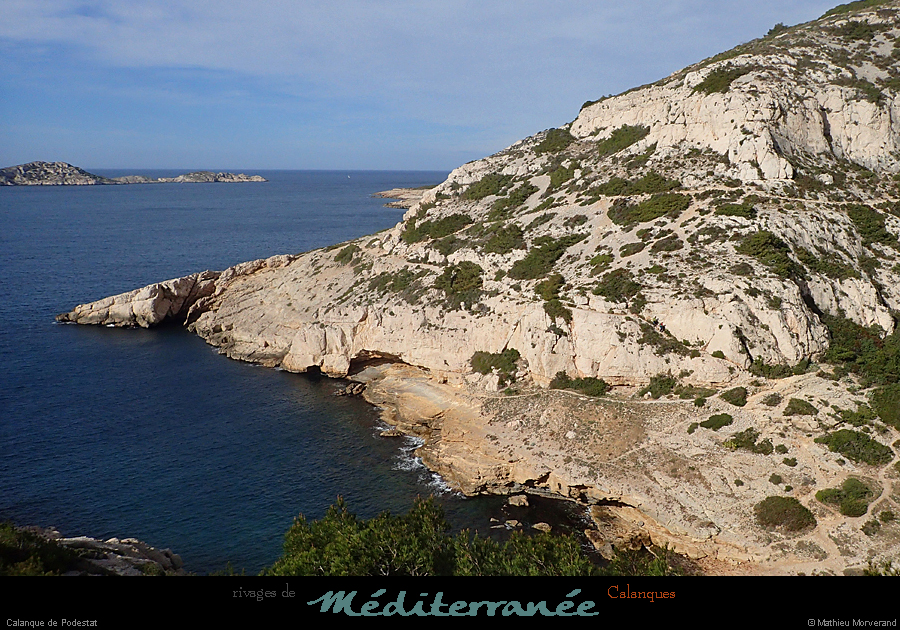 20190310_cal_podestatcalanque6