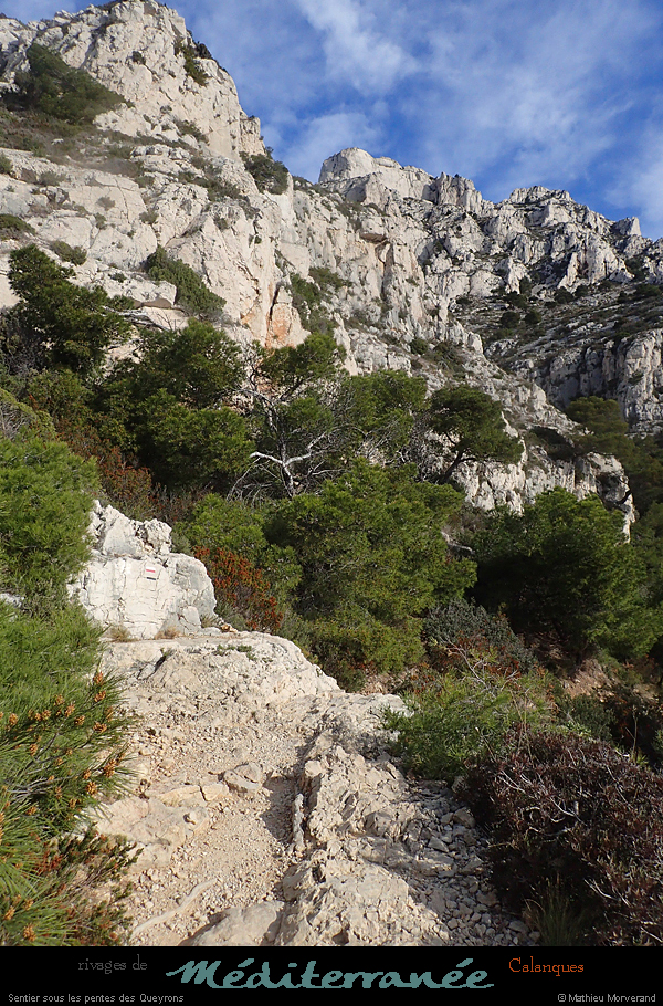 20190310_cal_queyrons_sentier