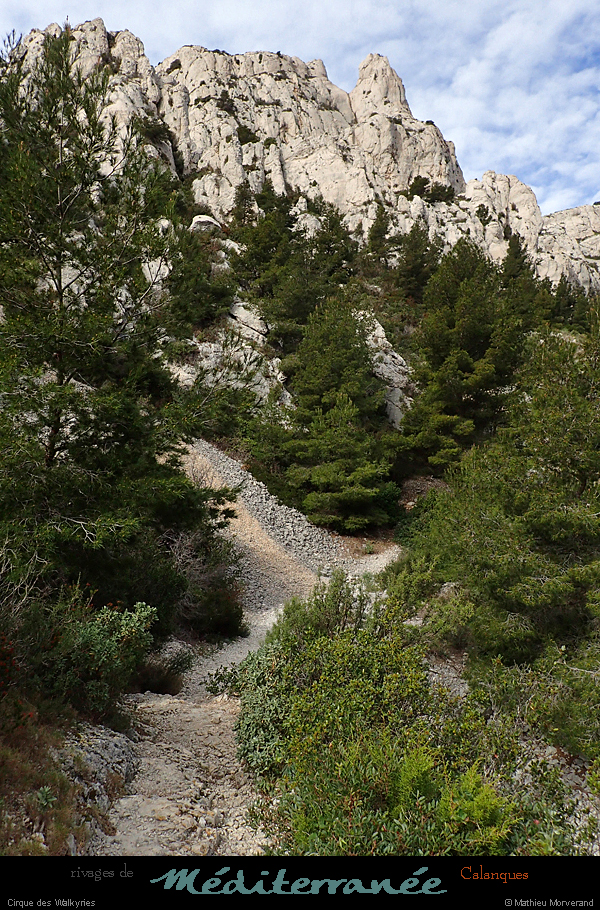 20190310_cal_walkyries_sentier1