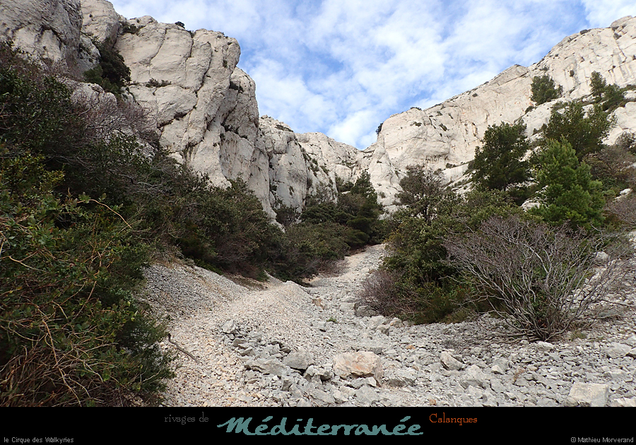 20190310_cal_walkyries_sentier2.