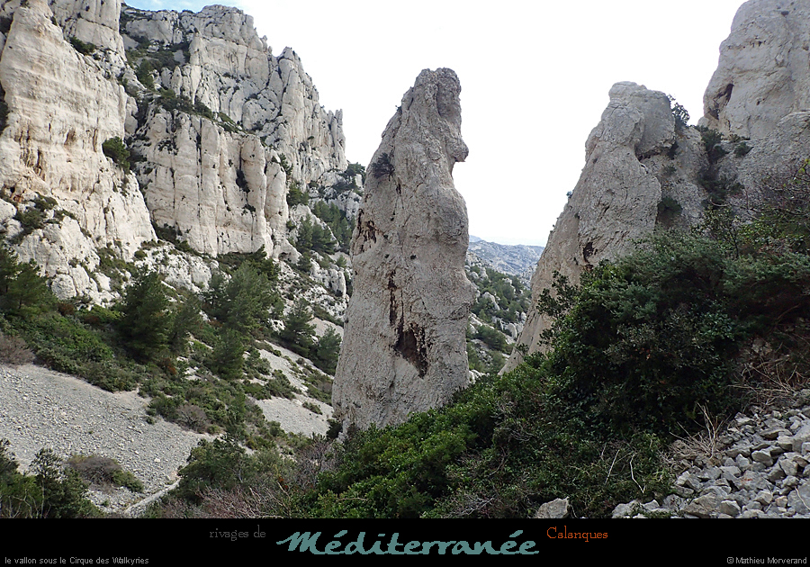 20190310_cal_walkyries_vallon2