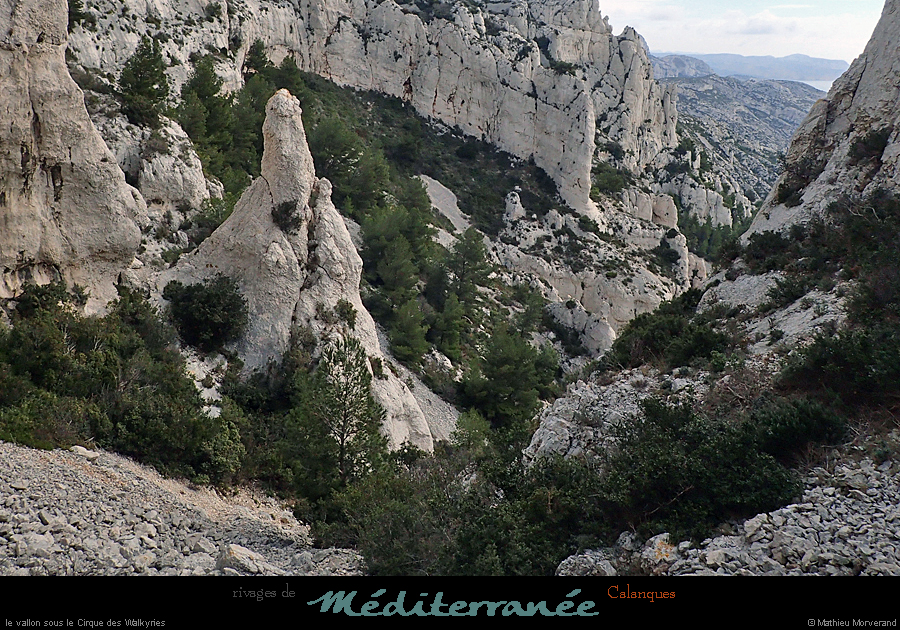 20190310_cal_walkyries_vallon6