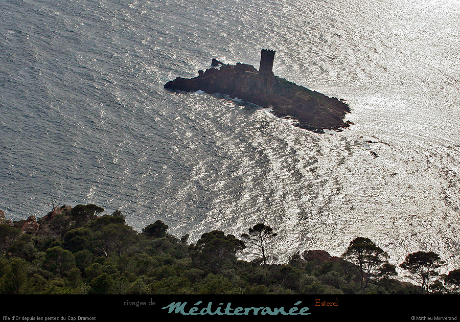 20070328_trail_33