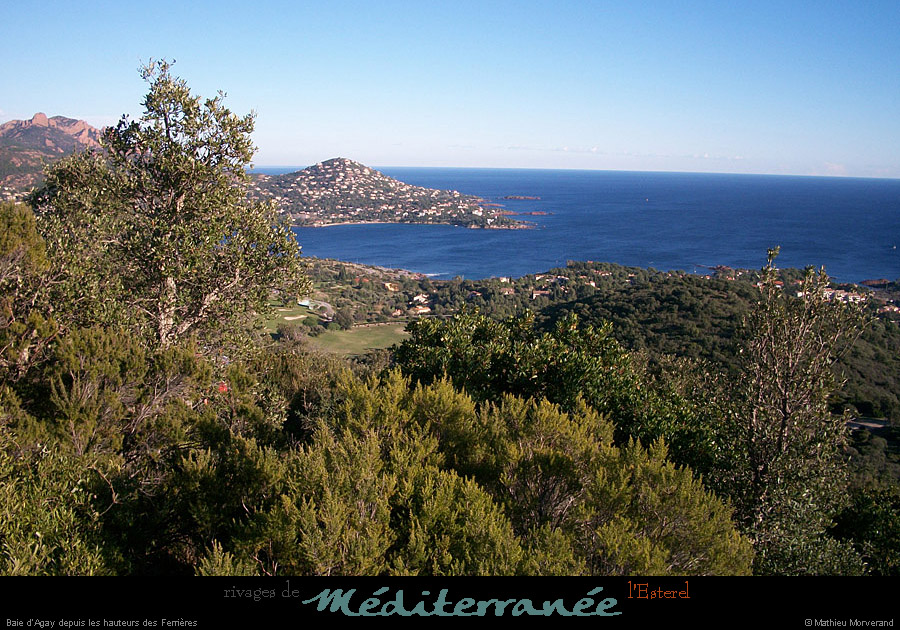 20111219_esterel_baiedagayparlouest