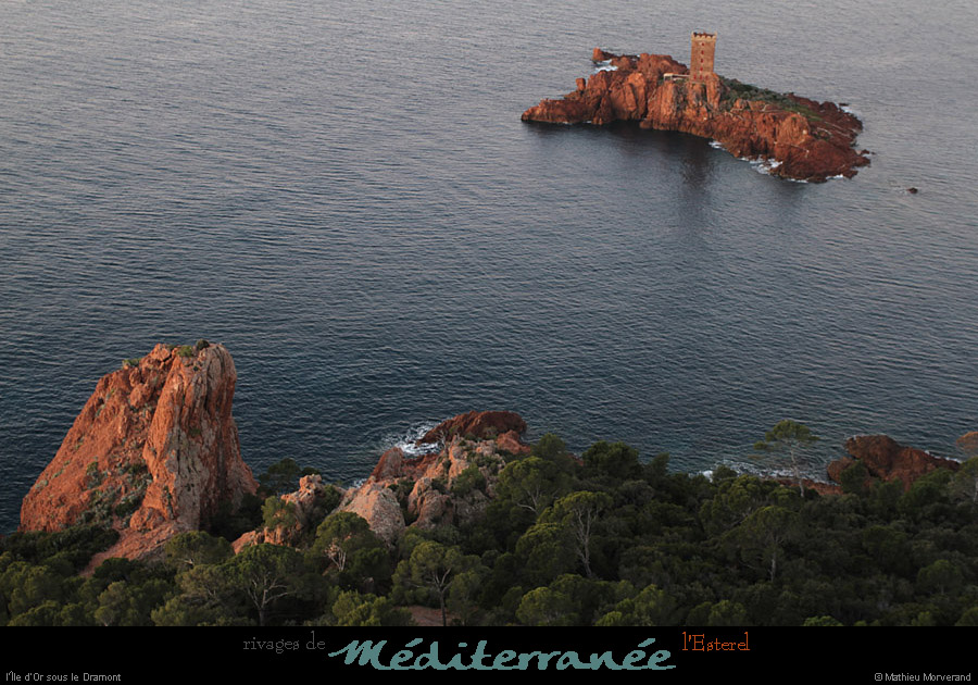 20111222_esterel_dramont_aurore_iledor04