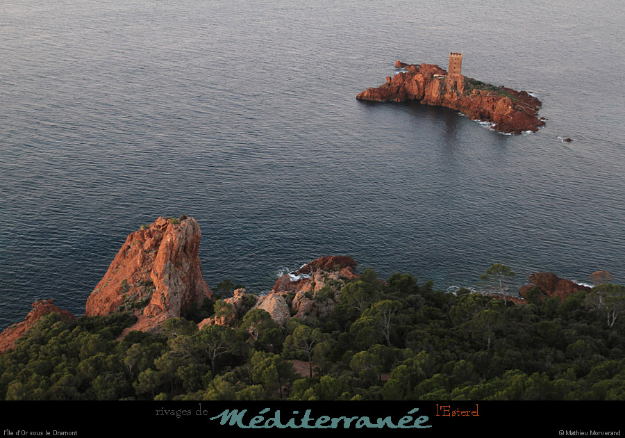 20111222_esterel_dramont_aurore_iledor05