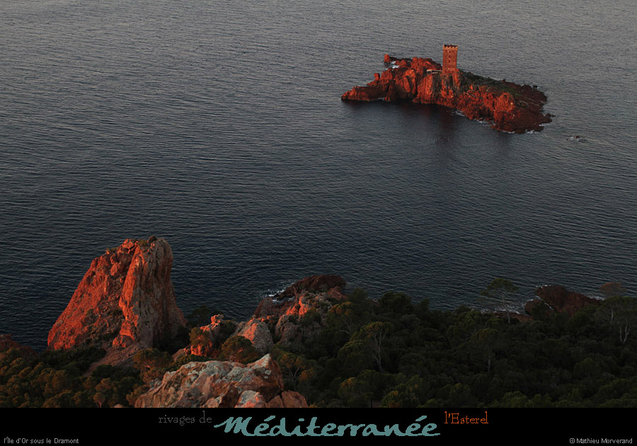 20111222_esterel_dramont_aurore_iledor06