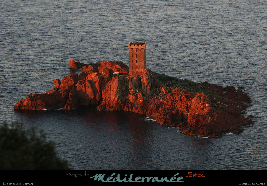 20111222_esterel_dramont_aurore_iledor10
