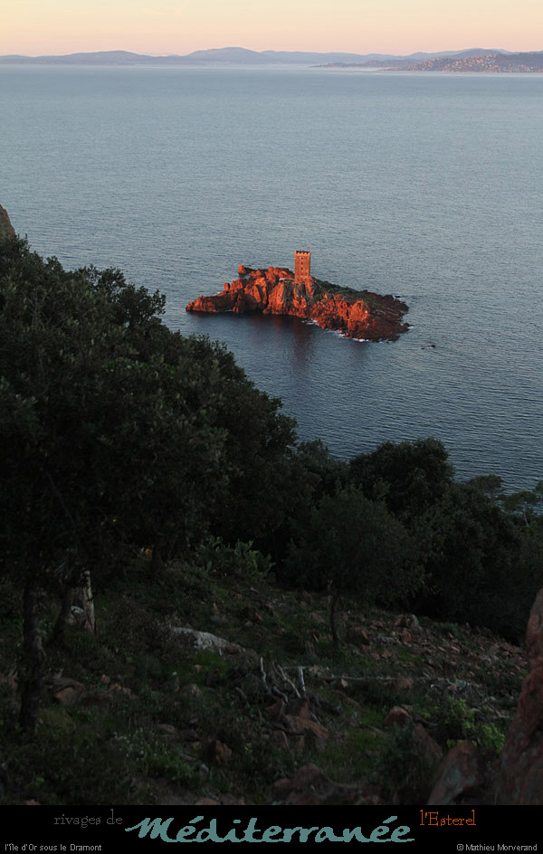 20111222_esterel_dramont_aurore_iledor15