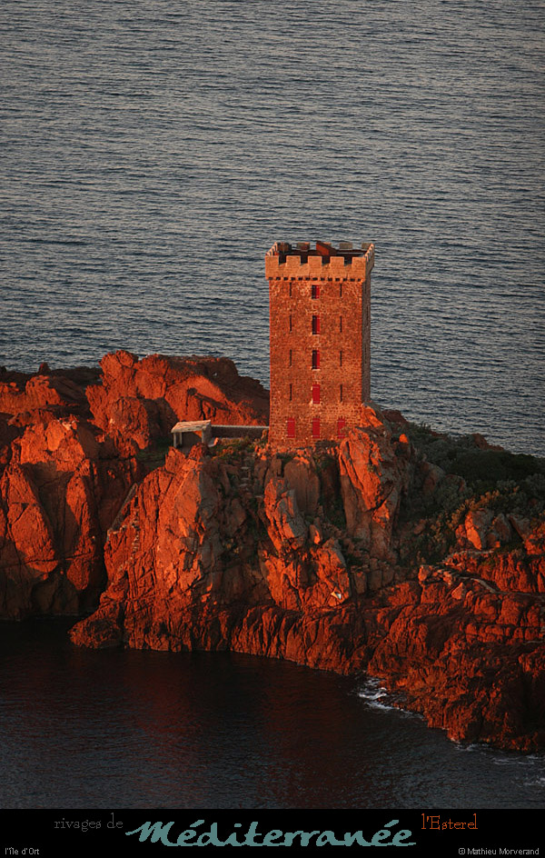 20111222_esterel_dramont_aurore_iledor17