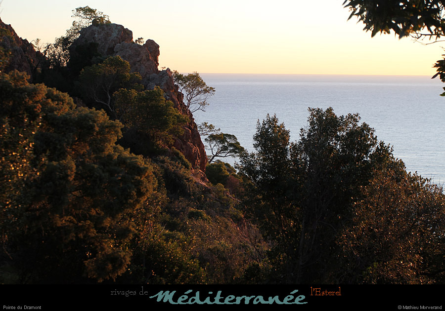 20111222_esterel_dramont_pentesne2